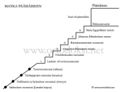 Pienoiskuva 15. helmikuuta 2009 kello 13.41 tallennetusta versiosta