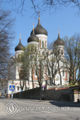 Tallinnan katedraali.jpg